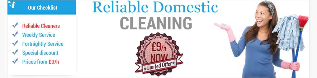 Domestic Cleaning London