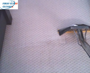 Carpet Cleaning