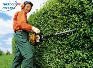 Hedge Trimming